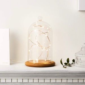 Glass cloche bell jar display dome